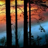 Природа нашего края